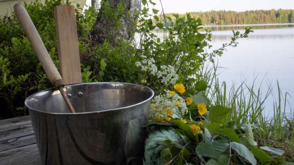 Kantovesi maaritelma Mita on kantovesi BioJussi
